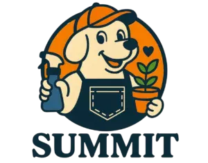 logo-summit.png