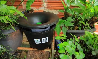 armadilha-contra-aedes-aegypti