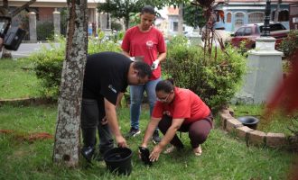 armadilhaseis_itapira_biovec
