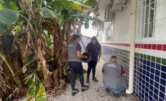 porto-belo-intensifica-combate-a-dengue-com-instalacao-de-novas-armadilhas-em-pontos-estrategicos