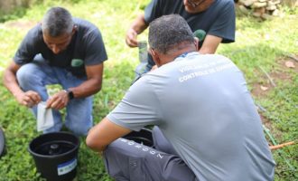 suzano-inicia-instalacao-de-armadilhas-contra-o-mosquito-da-dengue
